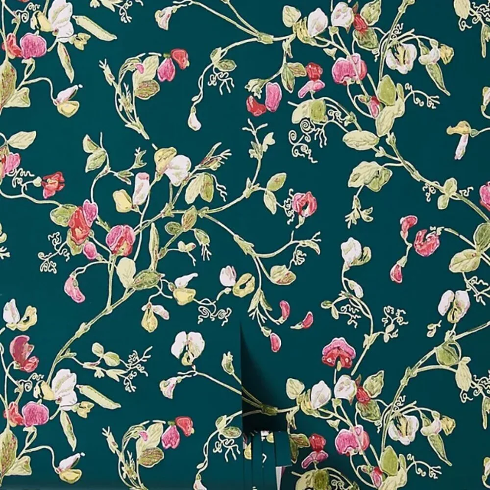 Cole & Son Sweet Pea Wallpaper in Cerise / Magen / Vrdn